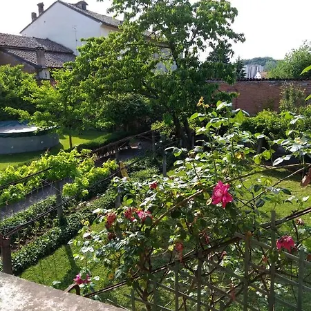 The Cloe's Gardens