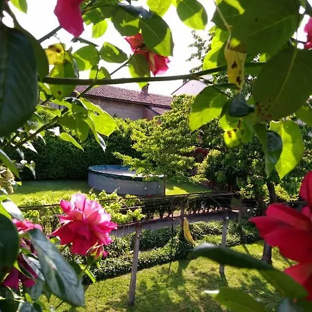 The Cloe's Gardens