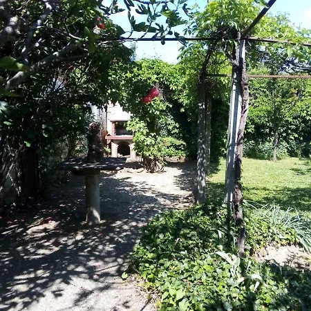 The Cloe's Gardens *