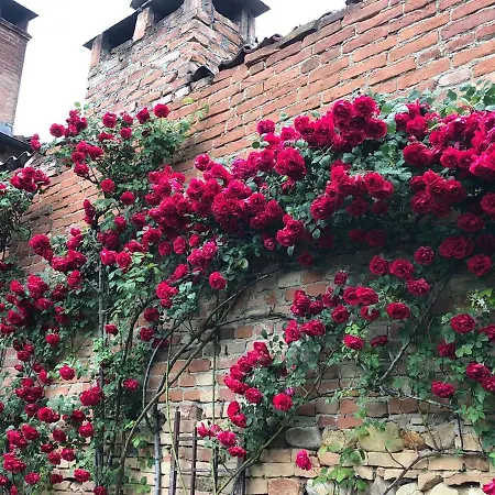 The Cloe's Gardens Apartment *